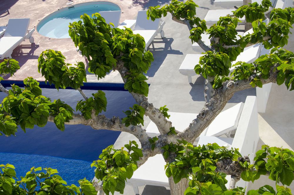 Rk Beach Hotel Kamari  Facilities photo
